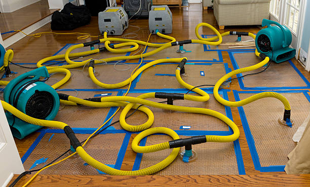 Professional Storm Water Damage Restoration technician working in Harrisburg, AR